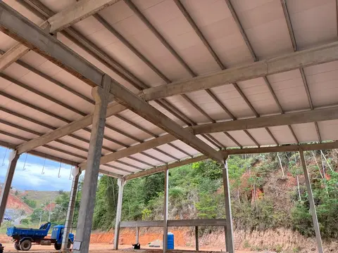 Obra Anilto Bosi
